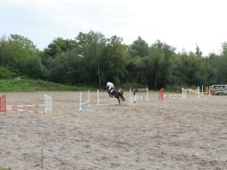 img_5911_web